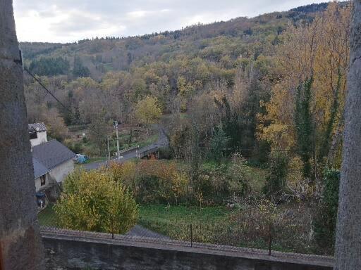 Les Granges Villa Saint-Nectaire Dış mekan fotoğraf